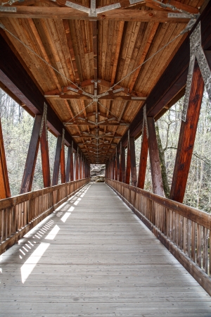 An old wooden, covered bridge in springtime forestの写真素材