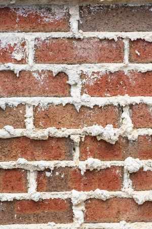 A brick wall with mortar extruding from joints good for background or textureの写真素材