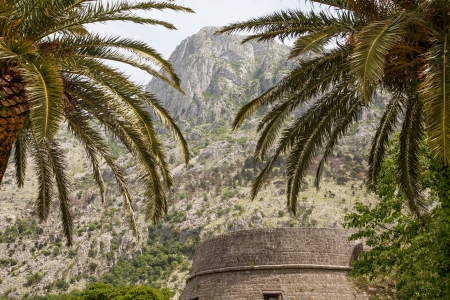 Old stone tower between tropical palm trees with tall hills in backgroundの写真素材