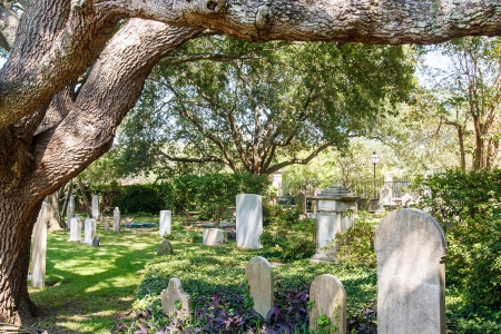 An old cemetery under a massive southern oak treeの写真素材