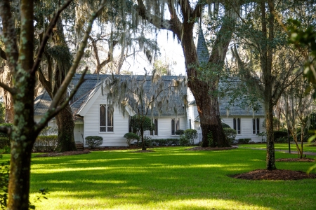 Small White Church Under Moss Covered Treesの写真素材