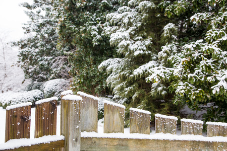 Snow on a wood fence with evergreens and trees in backgroundの写真素材