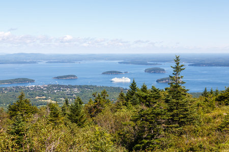 A luxury cruise ship docked in the ocean off the coast of Maine shot from evergreen covered hills
