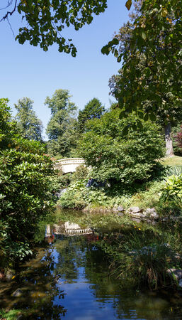 A yellow plaster bridge over a stream in a formal gardenの写真素材