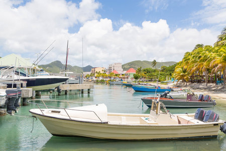 Many colorful boats in a tropical harbor