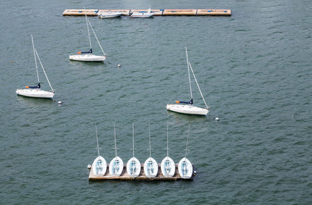 White Sailboats in Calm Blue Bay