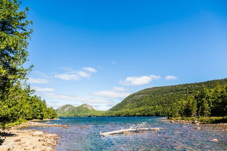 Evergreen trees on the coast of a lake in Maineの写真素材