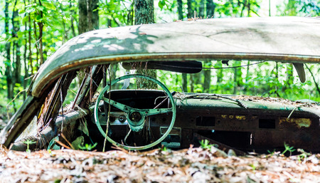 An old wrecked car in the woods with glass broken out.の写真素材