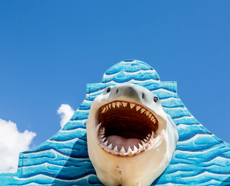 A great white shark mounted on a blue wallの写真素材