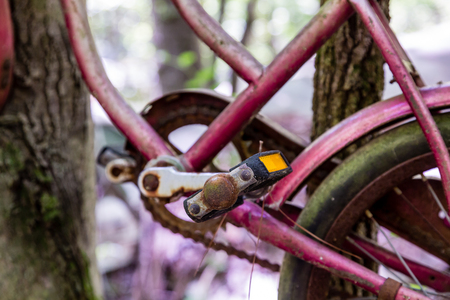 An old rusty bicycle hanging in treesの写真素材