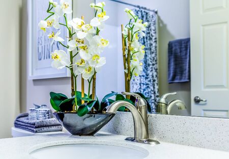 Orchids on Granite Vanity by brushed nickel faucetの写真素材