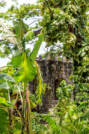 Old stone ruins in a tropical rain forestの写真素材