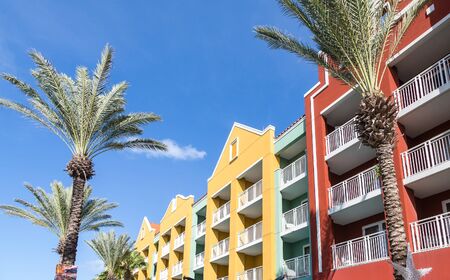 Palm Tree at Red Resort in Curacaoの写真素材