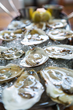 A tray of oysters on the half shell with lemon in the backgroundの写真素材