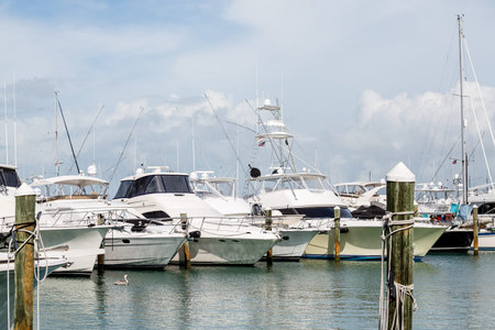 Large Fishing Boats in Tampa Marina