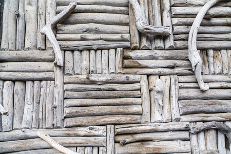 Wall panel of Wood and Horn