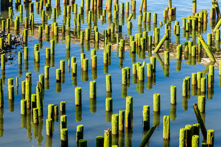 Green pilings in blue water of Astoria, Oregon