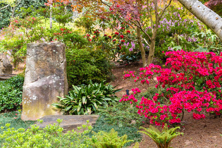 Stones in Formal Garden with flowering shrubsの写真素材