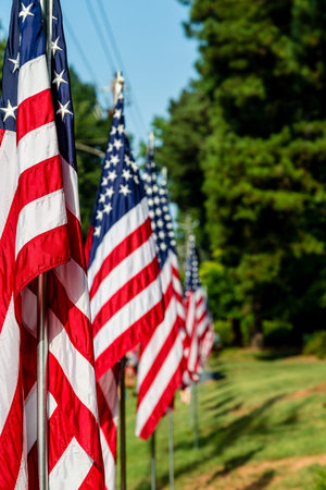 American Flags in a Row at a July 4th Celebration