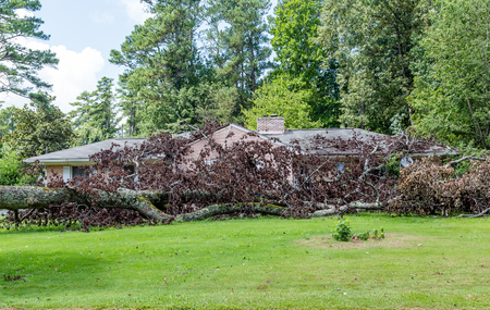 Huge tree fallen on a home causing storm damageの写真素材