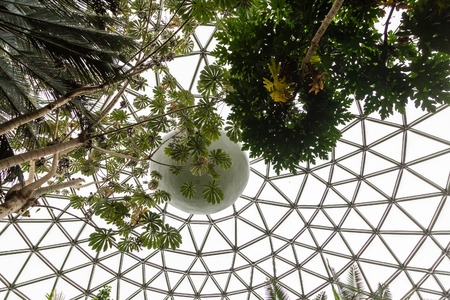 Geodesic dome over Butterfly pavilion in Vancouverの写真素材