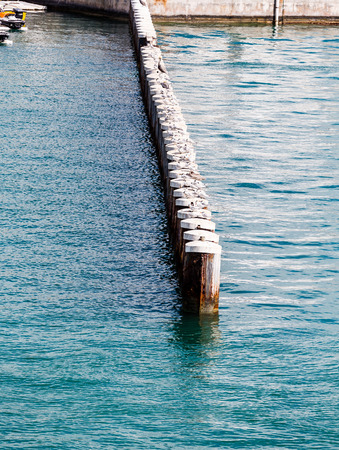 Gulls on Breakwater wooden postsの写真素材
