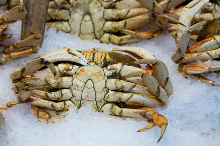 Crabs on ice in a seafood marketの写真素材