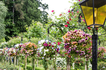 Hanging baskets in a garden with a traditional lamppostの写真素材
