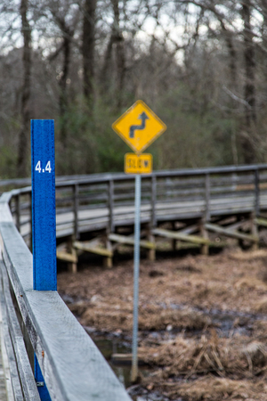 Concrete and wood plank walking trail through a winter woodland landscapeの写真素材