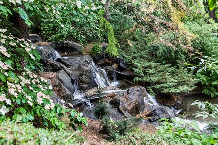 Water flowing down rocks in lush, green forestの写真素材