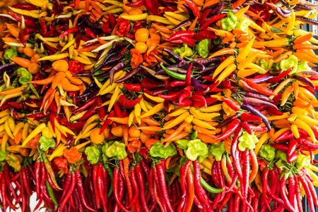 Colorful Garlands of Peppersの写真素材