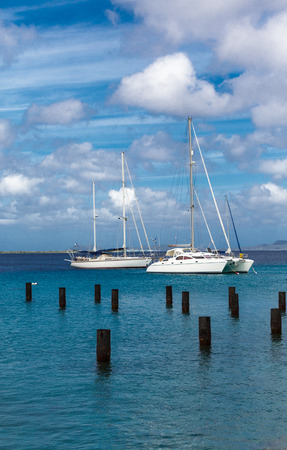 White Sailboats Moored in Bonaireの写真素材