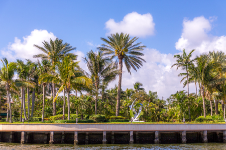 Statue on the Intracoastalの写真素材