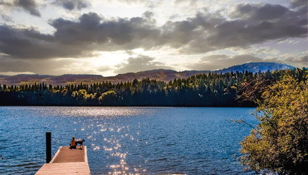 Person and Dog Sitting on Dockの写真素材