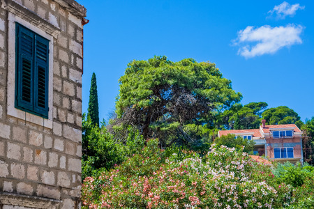 Flowers Outside Old Stone Buildingの写真素材