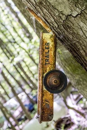 Old Wagon in Treeのeditorial素材