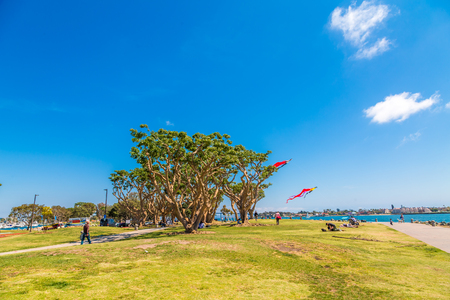Kites Over San Diego Parkのeditorial素材