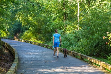 Woman Walking Dog on Pathのeditorial素材