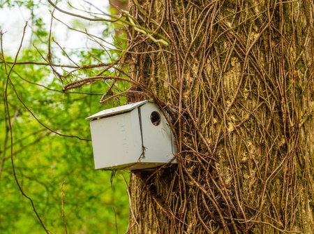 A Grey Birdhouse