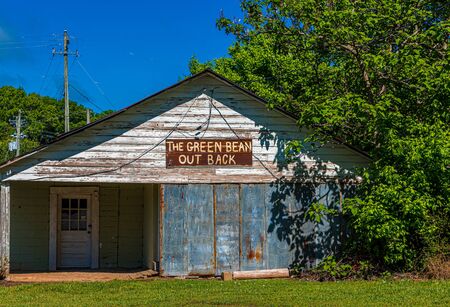 The Green Beanのeditorial素材