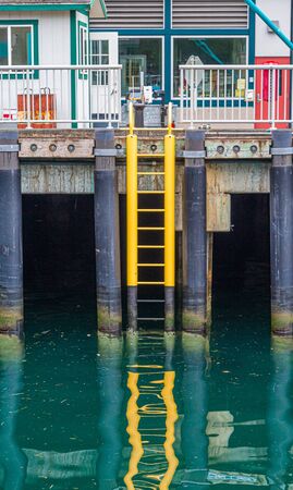 Yellow Ladder Into Greenの写真素材
