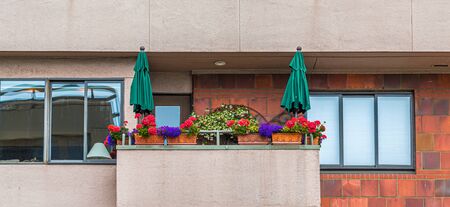 Umbrellas and Flower Boxesの写真素材