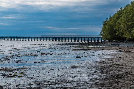 Late Afternoon Low Tide