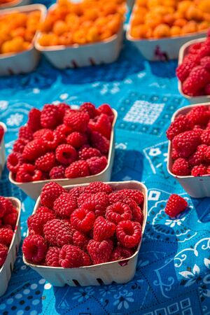Red and Orange Raspberriesの写真素材