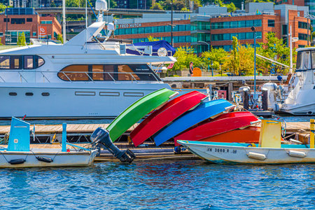 Rowboats by Yacht