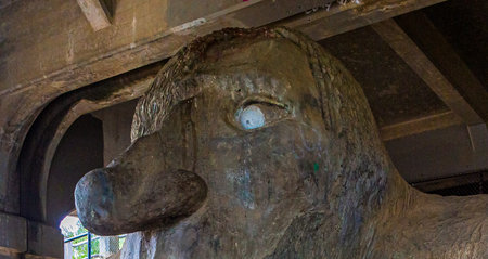 Eye of the Trollのeditorial素材