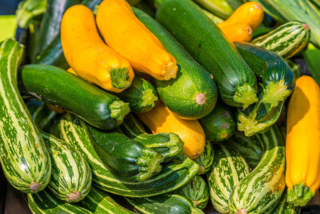 Green and Yellow Squash