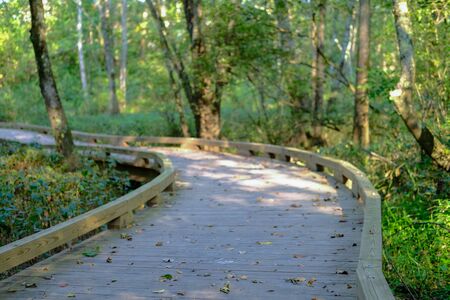 A Wood Fitness Trail Curving Around Bendの写真素材