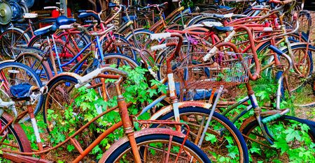 Old Rusty Bicyclesの写真素材