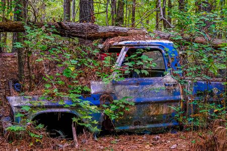 Old Pickup Trashed in Woods with Tree on Topの写真素材
